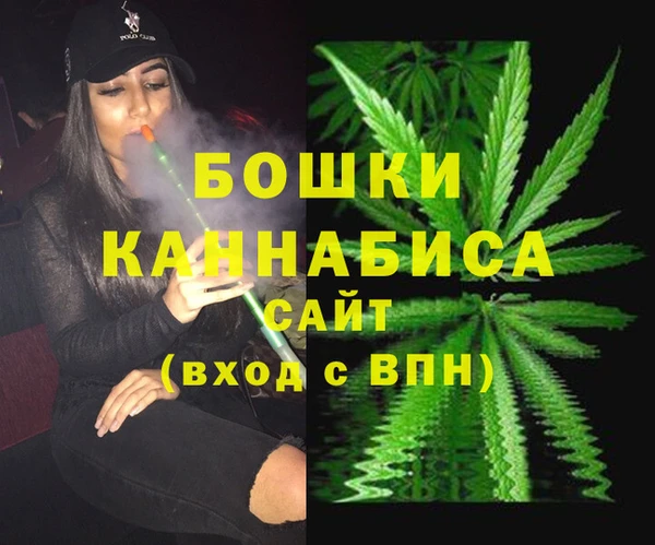 сатива Абинск