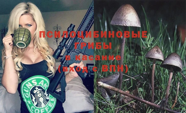 ГАЛЛЮЦИНОГЕННЫЕ ГРИБЫ Алексеевка
