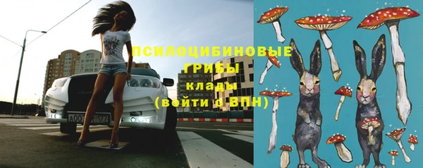 mix Абаза